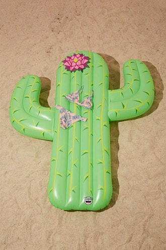 Cactus Pool Float