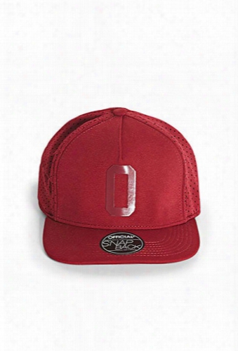 Official Mesh-panel Snapback