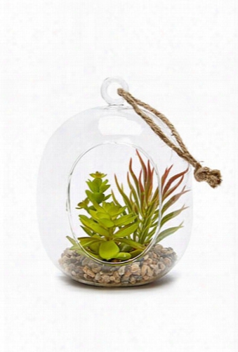 Hanging Glass Terrarium