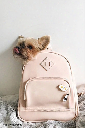 Faux Leather Mini Zip Backpack