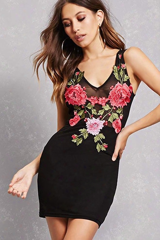 Embroidered Sheer Mesh Dress