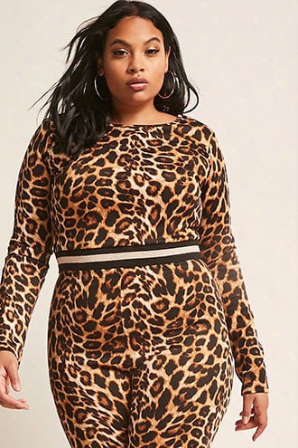 Plus Size Leopard Print Crop Top