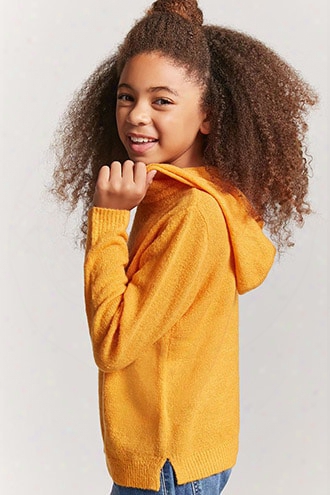 Girls Brushed Knit Pullover (kids)