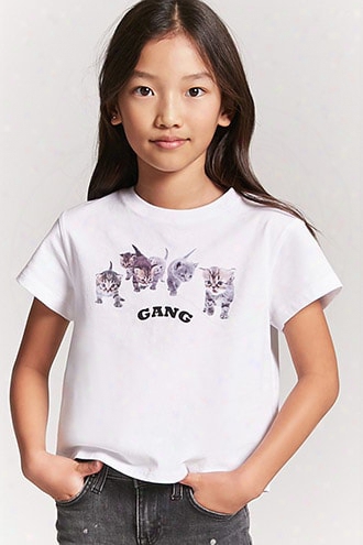 Girls Kitten Gang Graphic Tee (kids)