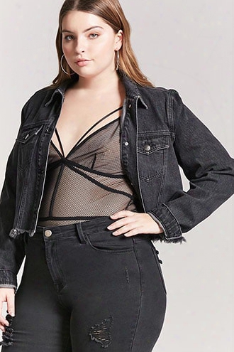 Plus Size Sheer Mesh Teddy