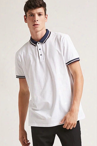 Striped-trim Polo