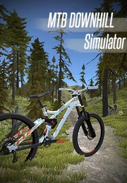 Mtb Downhill Simulator