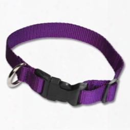 Adjustable Pet Collars 1in In Flat Nylon