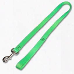 Leash W/ 3/4" Flat Nylon