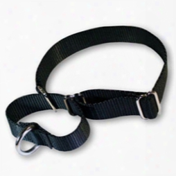 Martingale Pet Collars 1in In Nylon By 14-20