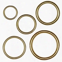 Solid Brass O-rings