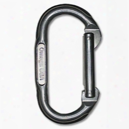 Standard Oval Carabiner