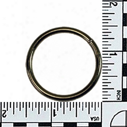 #191: 1-1/4 Inch Brass Plated O-rings