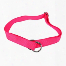 1" Martingale Style Nylon Dog Collar