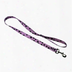 #339: 1 Inch Leash W/ Metal Bolt Snaps And Lavender Puppy Paws Polyester Webbing