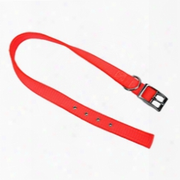 #706 - 1" Tongue Buckle Double Thick Dog Collar