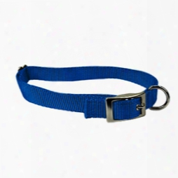 #719 - 1 Inch Adjustable Tongue Buckle Collar