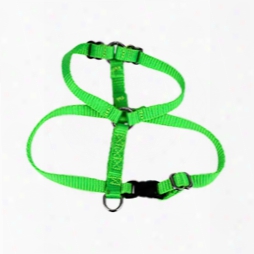 #726 - 1/4" Small H Type Dog Harness