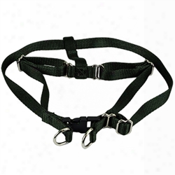 #740 - 1/2" Basic Dog Harness