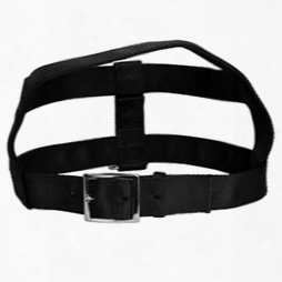 #748 - 1 1/2" Large Tongue Buckle Dog Harness