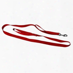 #760 - 1 Inch Leash With Built-in Traffic Lead