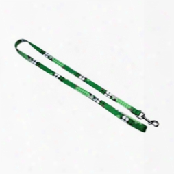 #802: 3/4 Inch Green Girl Patterned Polyester Leashes 4 Feet Long