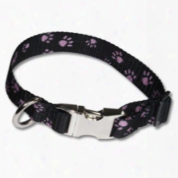 Adjustable Pet Collars 3/4" Patterned Pq Polyester