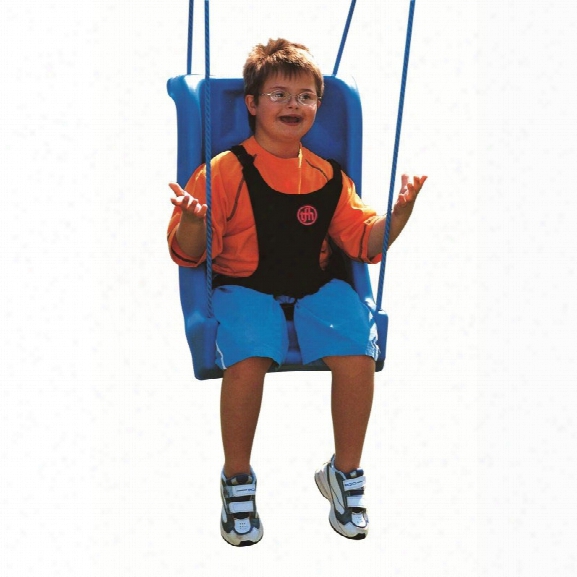 Child Full Support Seat Accessible Swing With Deluxe Harness