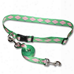 Jogger's Belt/leash Combo-with Patterned Pq Polyester