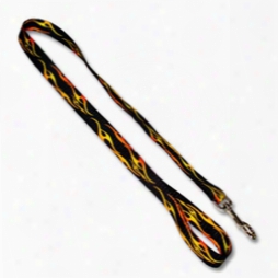 Leash W/ 3/4" Patterned Pq Polyester