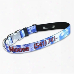 Pet Id Collar Made With Patterned Pq Polyester Webbing