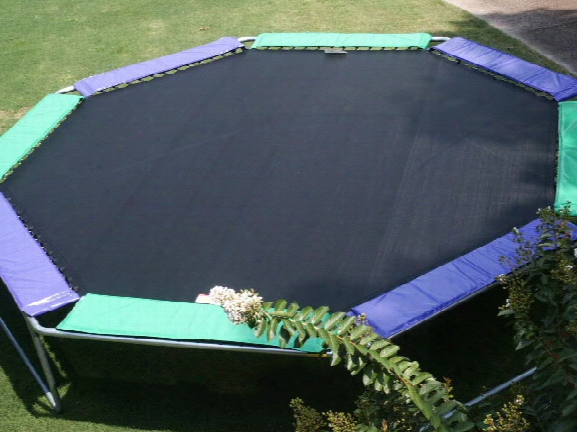 16 Foot Magic Circle Octagon Trampoline