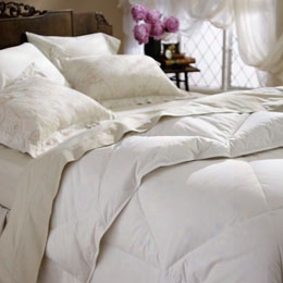 All Natural Down Comforter - King