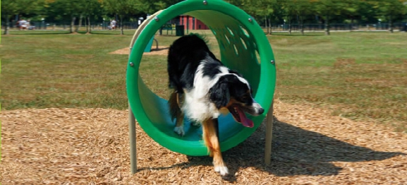 Bark Park Doggie Crawl Exercise Equipment