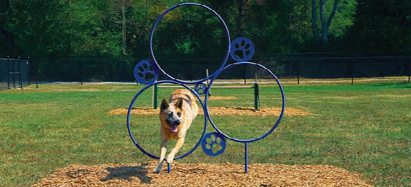 Bark Park Hoop Jump Dog Exercise Equipment