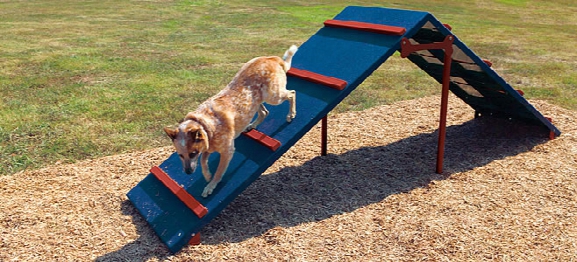 Bark Park King Of The Hill Dog Exercise Equipment
