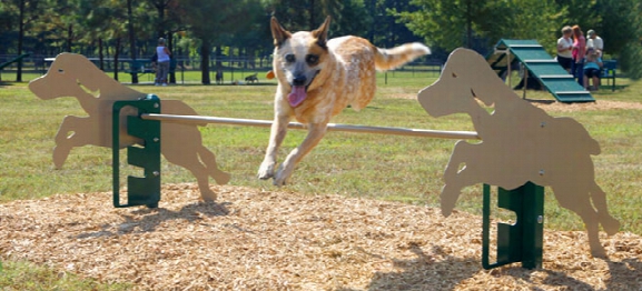 Bark Park Rover Jump Over Dog Exercise Equipment