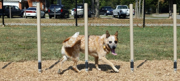 Bark Park Weave Posts Dog Exercise Equipment