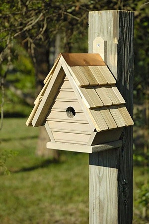 Chick Bird House