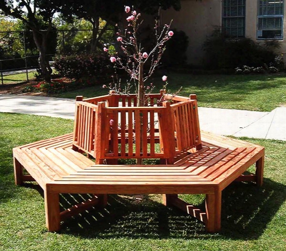 Forever Mature Growth Redwood Tree Bench 8 Foot