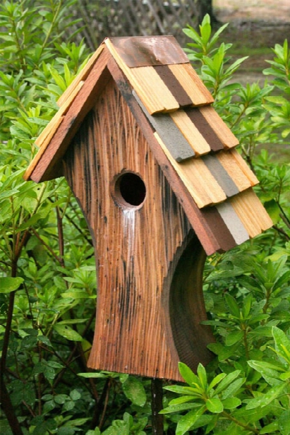 Nottingham Bird House