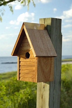 Starter Home Bird House