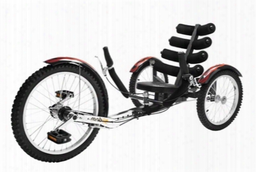 Shift Cruiser Tricycle