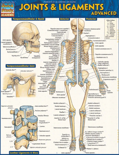 Barcharts Barcharts Advanced Joints And Ligaments Reference Guide - Unisex - Medical Supplies