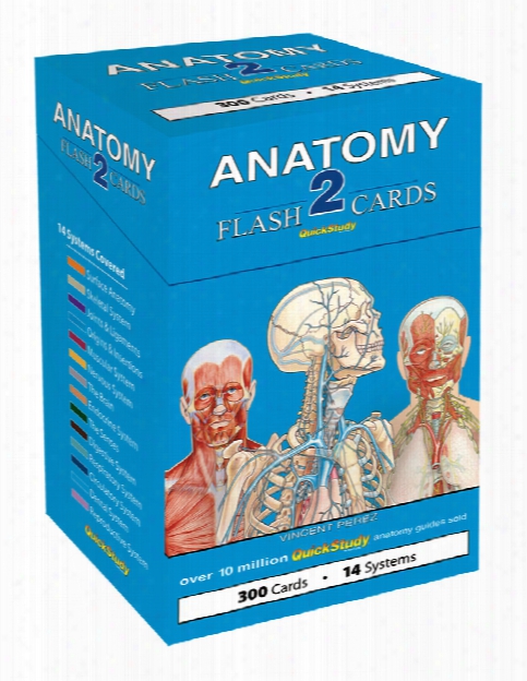 Barcharts Barcharts Anatomy 2 Flash Cards - Unisex - Medical Supplies