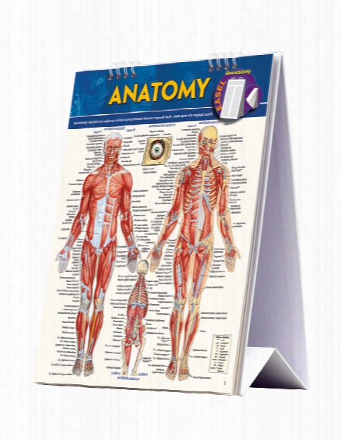 Barcharts Barcharts Anatomy Easel - Unisex - Medical Supplies