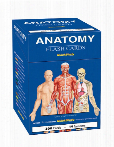 Barcharts Barcharts Anatomy Flash Cards - Unisex - Medical Supplies