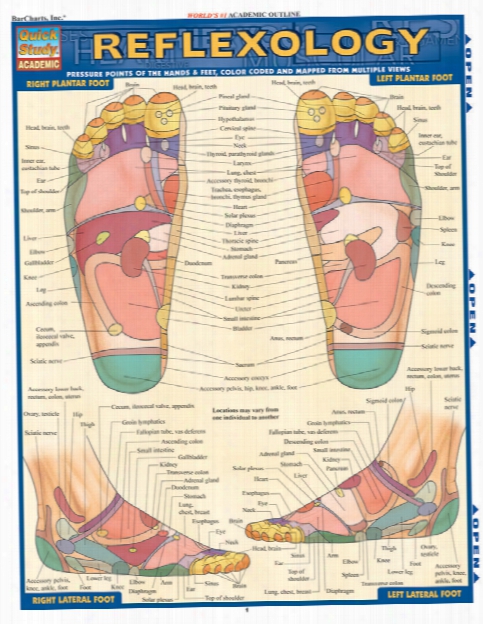 Barcharts Barcharts Reflexology (update/expansion) - Unisex - Medical Supplies