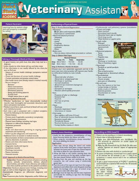 Barcharts Barcharts Veterinary Assistant Reference Guide - Unisex - Medical Supplies