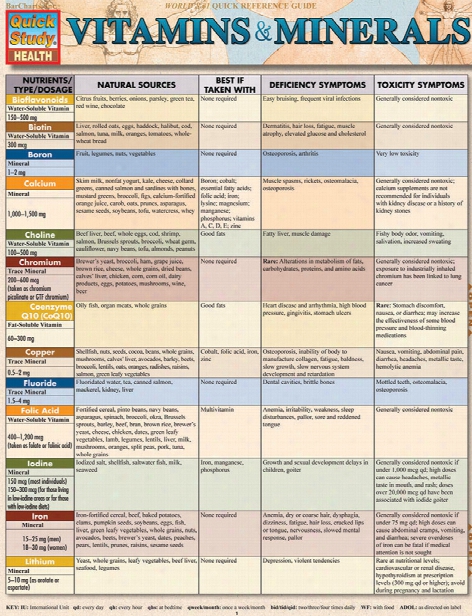 Barcharts Barcharts Vitamins And Minerals Reference Guide - Unisex - Medical Supplies